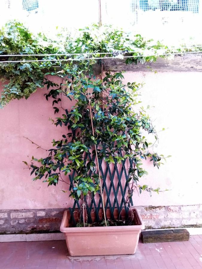 Biennale Flat Veneza Exterior foto